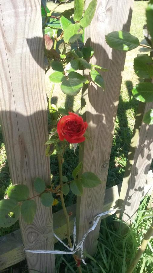 Rose View Cottage Le Cambout Luaran gambar