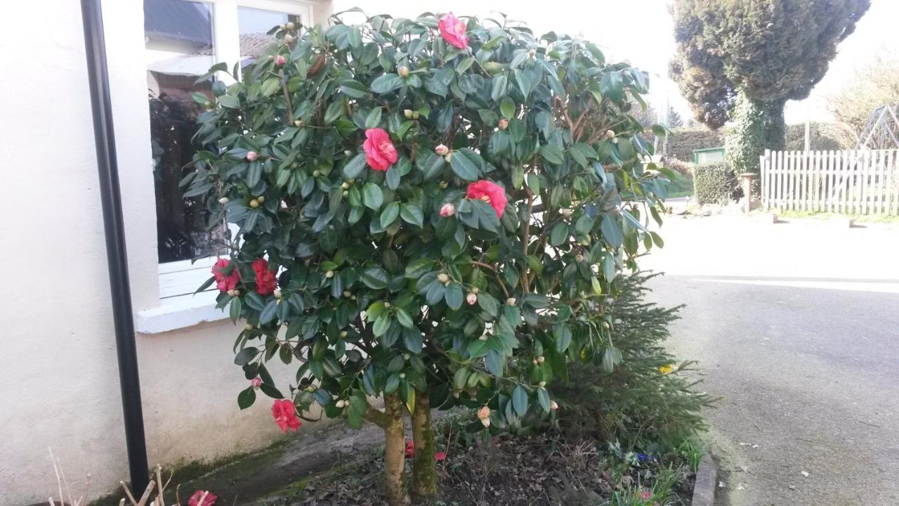 Rose View Cottage Le Cambout Luaran gambar