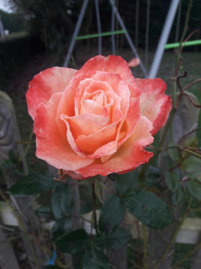 Rose View Cottage Le Cambout Luaran gambar